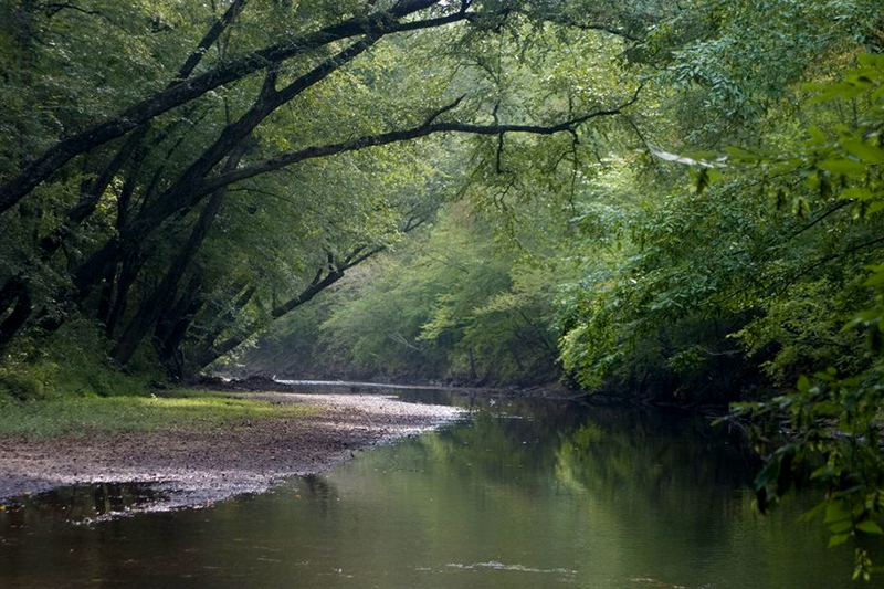 Image of Hurricane Creek with oak trees covering the water