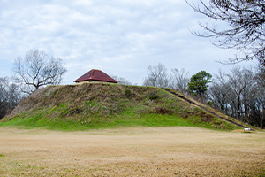 An indian mound.