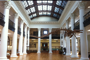 Inside of Smith Hall showing the dinosaur skeleton.
