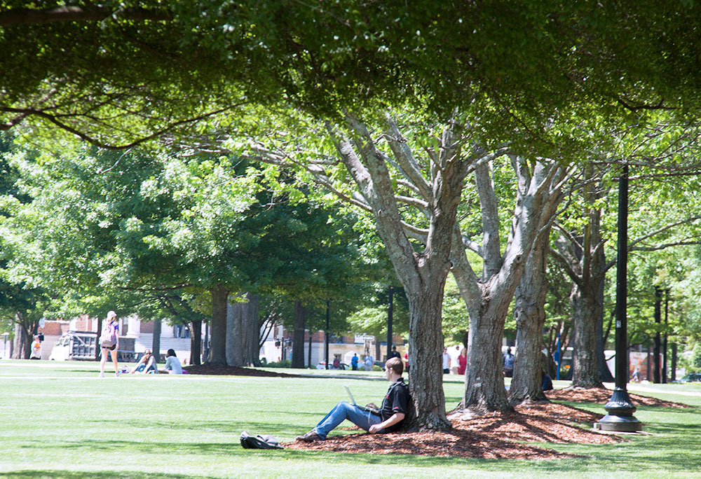 a student sitting against a tree on the UA Quad