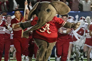 Man in an elephant costume being chased by cheerleaders.
