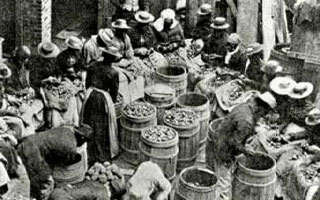 Black women sorting foodstuffs following the Sea Island Hurricane of 1893