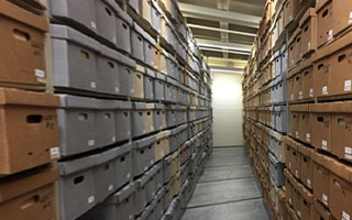 Archive boxes stacked on shelves.